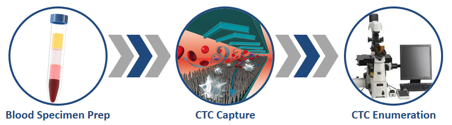 Products CytoLumina
